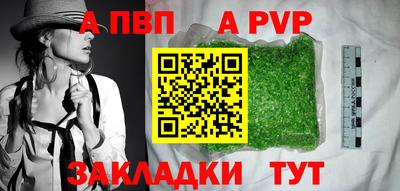 эйфоретик Кингисепп