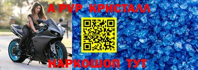 эйфоретик Кингисепп