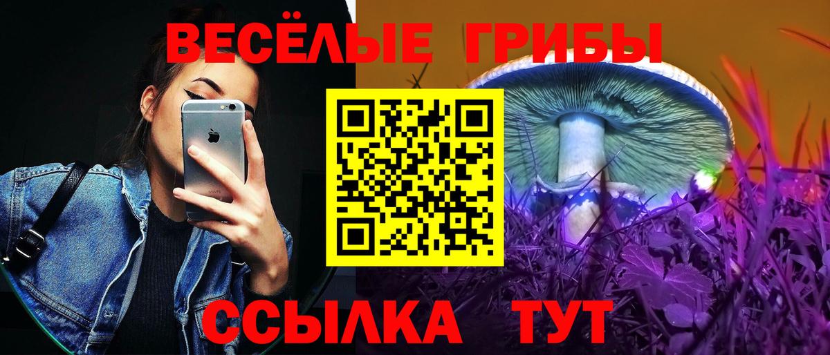 Коммунар  купить наркотики сайты  Псилоцибиновые грибы мицелий  Вход с VPN  Галлюциногенные грибы прущие грибы 